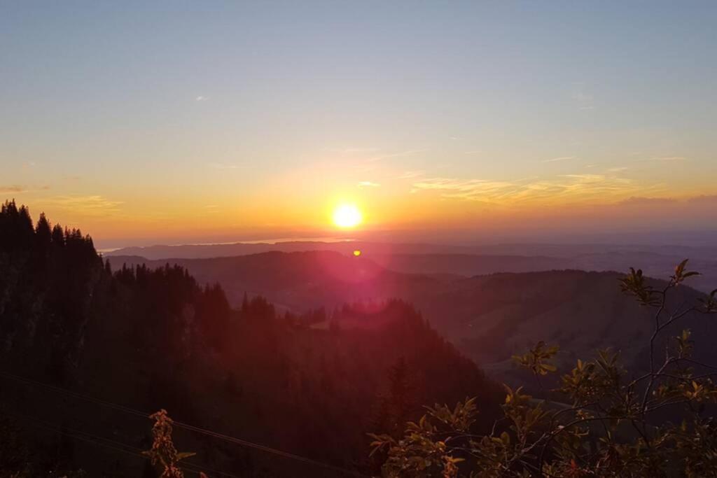 FeWo Allgäuliebe mit Wlan und Pool Oberstaufen Steibis Exterior foto
