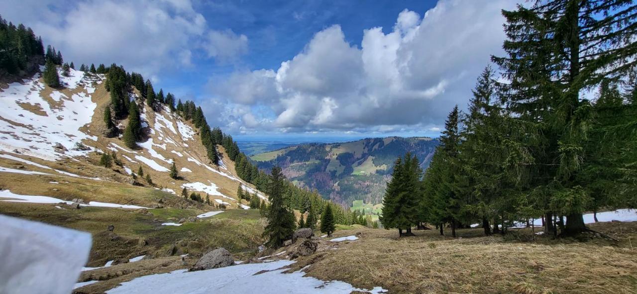 FeWo Allgäuliebe mit Wlan und Pool Oberstaufen Steibis Exterior foto