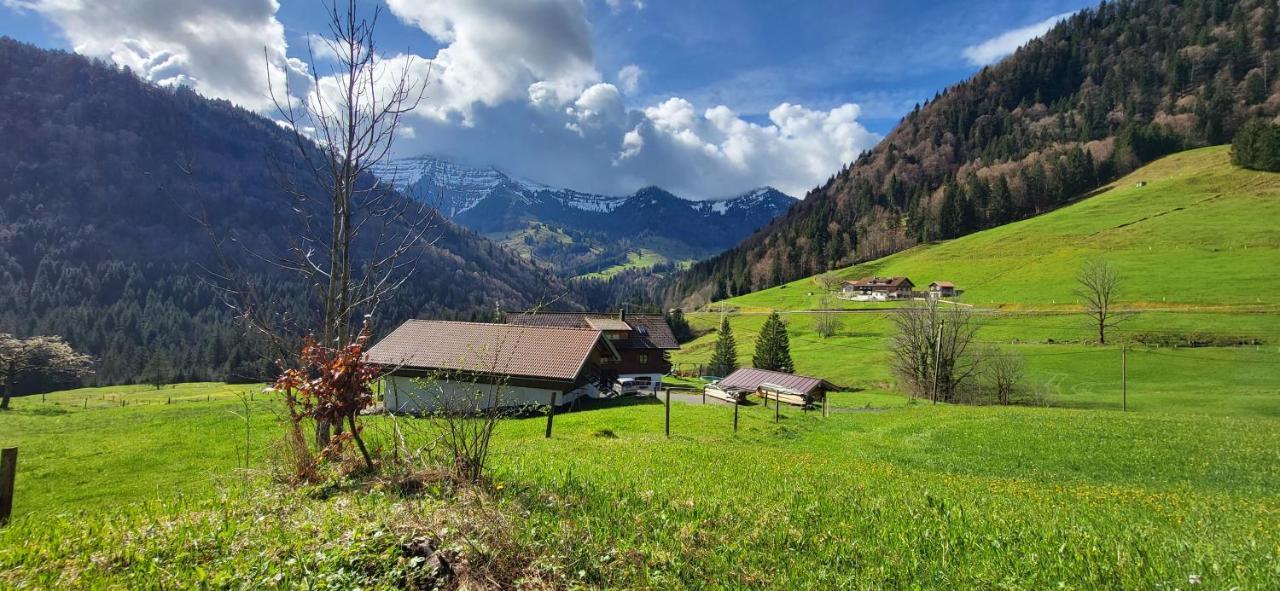 FeWo Allgäuliebe mit Wlan und Pool Oberstaufen Steibis Exterior foto
